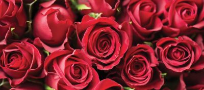 Bella Vista Ristorante Valentines Day Feature Menu