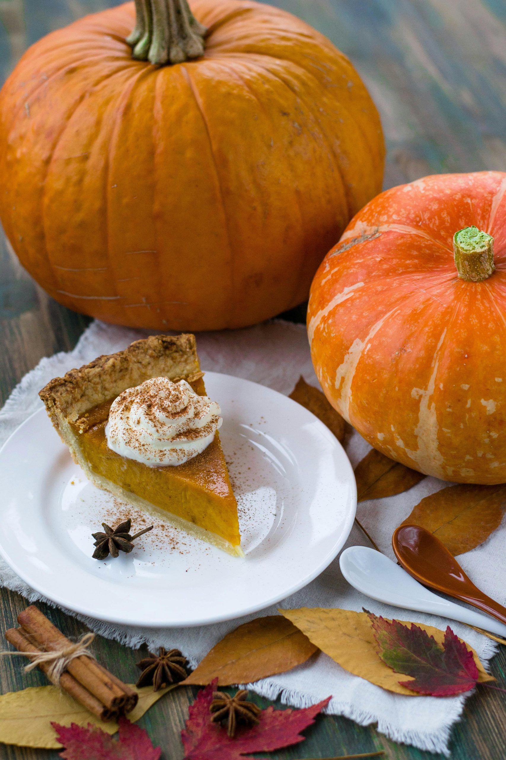 pumpkin pie to celebrate thanksgiving pumpkin pie to celebrate thanksgiving